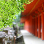 春日大社,結婚式,挙式,渡辺写真館,奈良県,奈良市,春日大社風景
